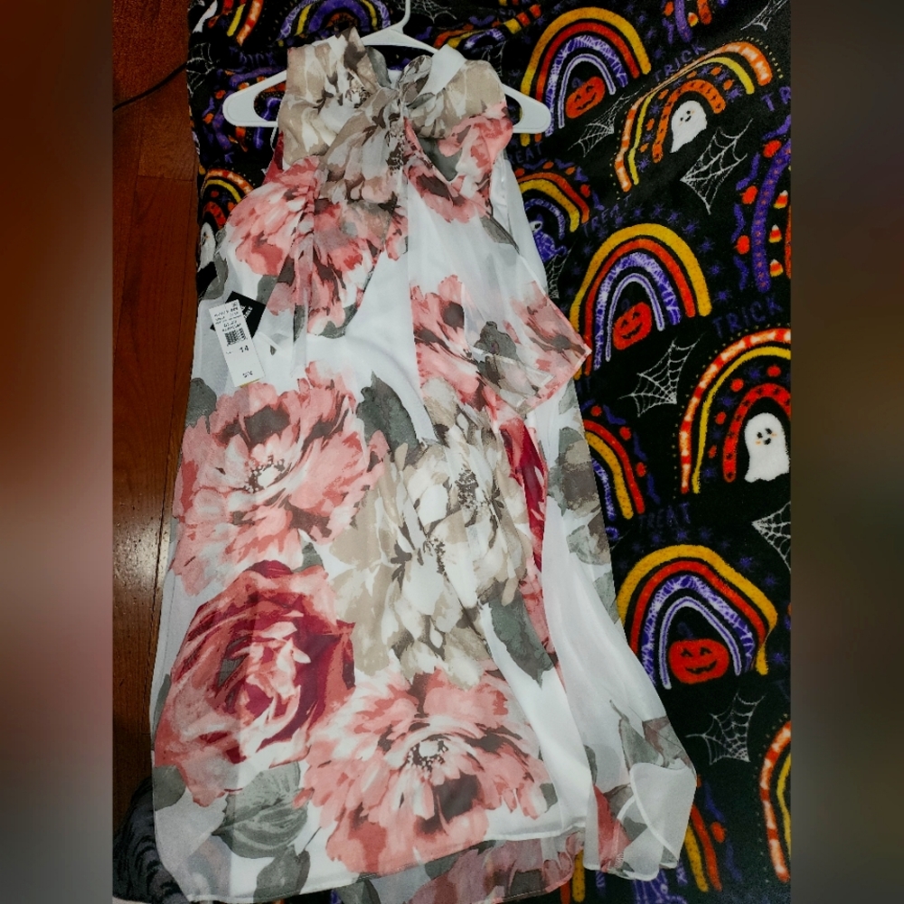 Sleeveless Dress